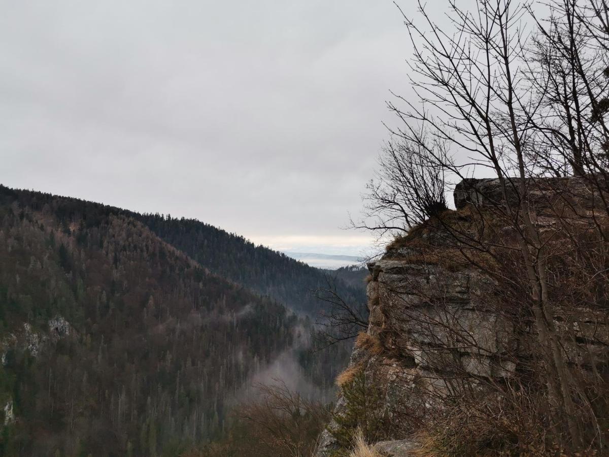 Ubytovanie Lala Spišské Tomášovce エクステリア 写真